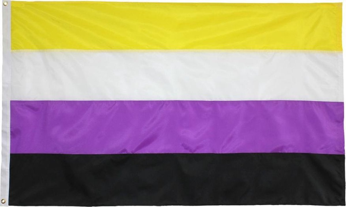 Zacs Alter Ego Vlag 5 x 3 Feet Non-Binary Multicolours